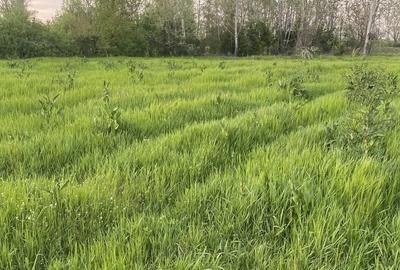 Spațiu comercial, în Leamna de Jos - 2