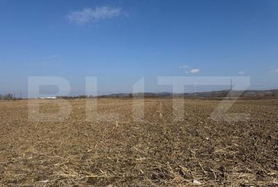 Teren de 2900 mp, în Central