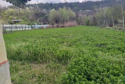 Teren de 3500 mp, în Izvoarele - 4