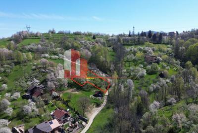 Teren Construcții intravilan de 2500 mp, în Bran - 18