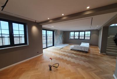 Vila Oslo, 5 camere, arhitectura deosebita, la Nord de Paradisul Verde Vila Oslo, 5 camere, arhitectura deosebita, la Nord de Paradisul Verde - 5