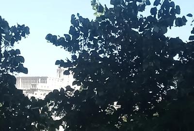 De vanzare apartament 2 camere Dimitrie Cantemir De vanzare apartament 2 camere Dimitrie Cantemir - 6