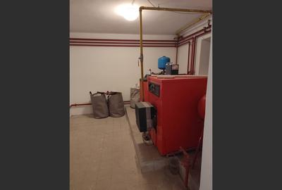 Vila superba 7 camere, Provita de Jos, 22.000 mp teren - 20