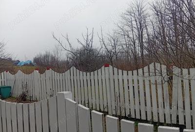 Casă cu 3 camere în Mureșeni - 5