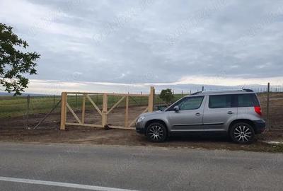 Teren de 4500 mp, în Crâng - 3