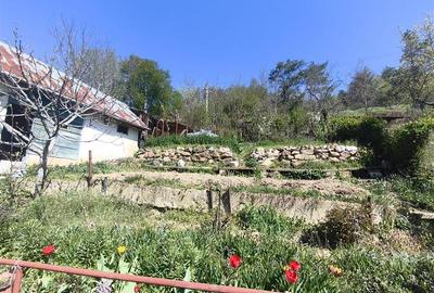 Casă individuală cu 3 camere cu Canalizare în Muncitoresc - 13