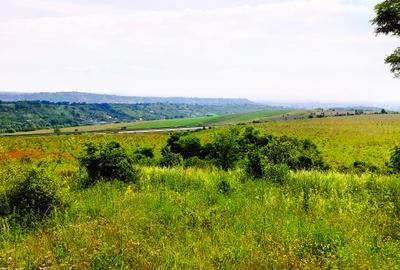 28.554 mp TEREN EXTRAVILAN, TURDA - SĂNDULEȘTI, jud. CLUJ, 300 m de AUTOSTRADA - 26