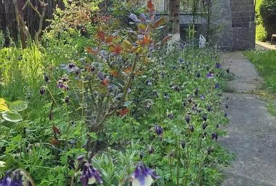 Casa de vanzare in loc. Di?e?ti, com. Filipe?tii de Padure, jud. Prahova - 7