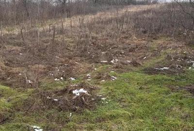 Teren de 700 mp, în Central - 3