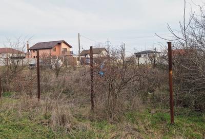 Spațiu comercial, în Jieni - 4