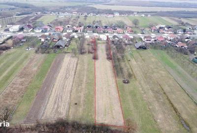 Casă cu 3 camere decomandat cu Teren 4748 Mp în Pomi - 2