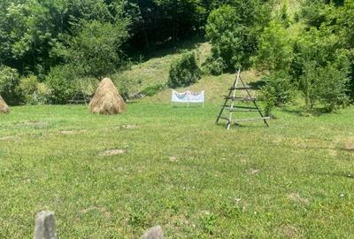 Teren de 2361 mp, în Valea Doftanei - 5
