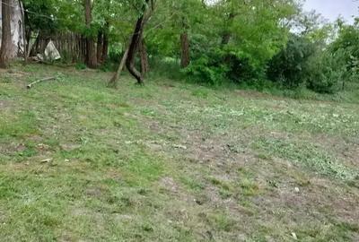 Casă cu 5 camere în Smârdan - 1