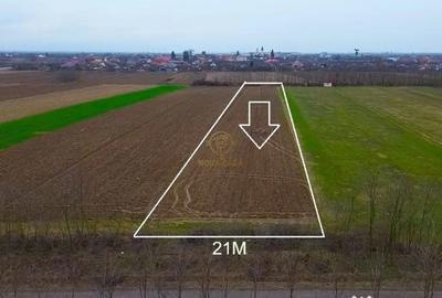 Teren în Medieșu Aurit - 4