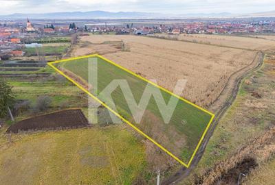 Teren 10000 mp in Extravilan, Bod, Brasov- COMISION 0% - 1