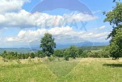 Teren agricol extravilan de 1915 mp, în Breb - 1