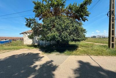 Teren 11404 m2 , Biharia la 1km de autostrada A3 si 300m de centura - 2