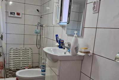 Casa de vanzare 81 mp cu teren 1455 mp intravilan si teren extravilan de 2200 mp - 4