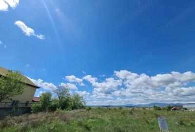 Vanzare loturi teren intravilan, situate in cartier Preajba, str. Frasinetului - 1