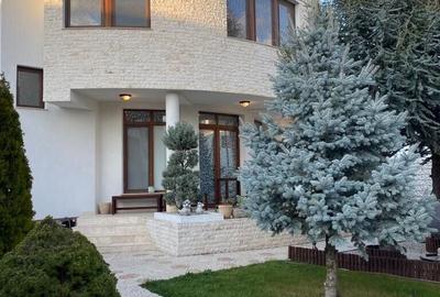 Casă individuală cu 10 camere cu Canalizare în Otopeni - 1