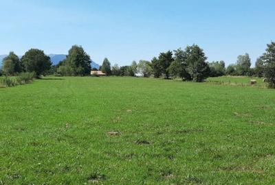 Teren de 9350 mp, în Bran - 7