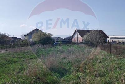 Casă cu 5 camere cu Teren 2324 Mp în Oșorhei - 4