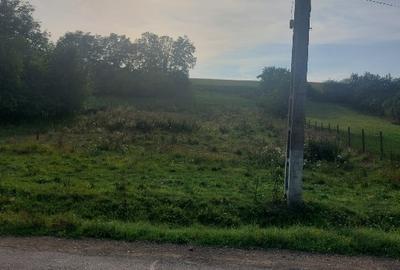 Teren intravilan sat Hărțău comuna Pănet Teren intravilan sat Hărțău comuna Pănet - 4