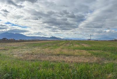 Terenuri de vanzare Tarlungeni, Izvor | 500 mp | 0% Comision - 8