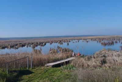 Vand teren intravilan 4000MP cu  dechidere la Delta Neajlovului, Comana GR - 6