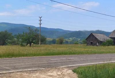 Casa+teren 5000mp, 70ml la DN 2E, zona Cacica, Radauti - 6