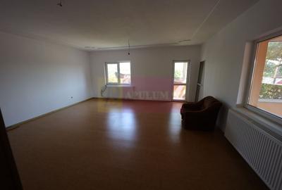 Vila Clinceni - Ciorogirlei. - 6