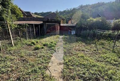 Casa 4 camere, 2 bai, curte 450mp, zona Baznei Casa 4 camere, 2 bai, curte 450mp, zona Baznei - 5