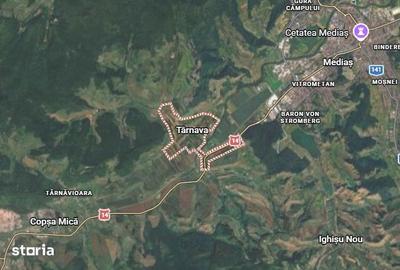 Teren de 6735 mp, în Târnava - 3