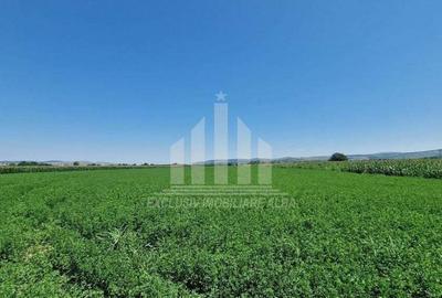 20 de parcele pentru constructii langa soseaua de centura - 2