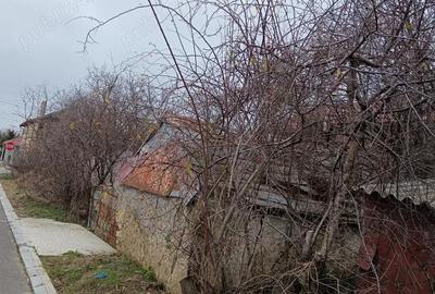 Casa batraneasca Casa batraneasca - 7