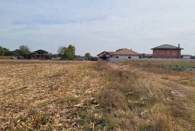 Teren de 4000 mp, în Măgurele