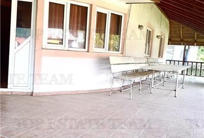 VIla 5 camere + casa rustica 4 camere, teren 5699 mp, ideal pentru investie turi - 2