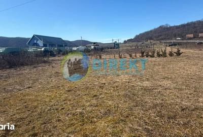 Teren de 9236 mp, în Șieu - 1