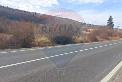 Comision 0 %! Teren 10,000 mp, front la DN1A, Sacele! - 5