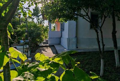 Casă cu 3 camere cu Teren 3000 Mp în Central - 2