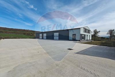 Hala noua 555mp, curte betonata 1000mp, zona de est, de inchiriat - 2
