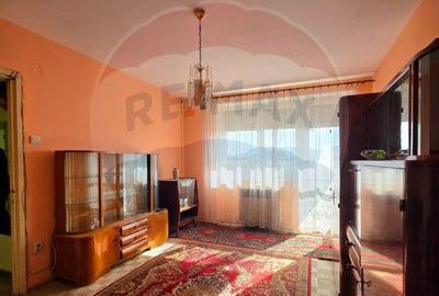 Apartament doua camere Gura Campului Medias - 4