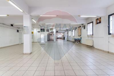 Proprietate speciala in cartierul Marasti/4048 mp + hala+ magazin Proprietate speciala in cartierul Marasti/4048 mp + hala+ magazin - 3
