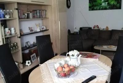 Vand apartament 2 camere cartier Sanicolau Mic Arad - 2