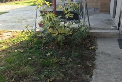 Casa de vanzare la 1 km de Timi?oara . Cine dore?te o via?a lini?tita dupa serviciul stresant de ora - 9