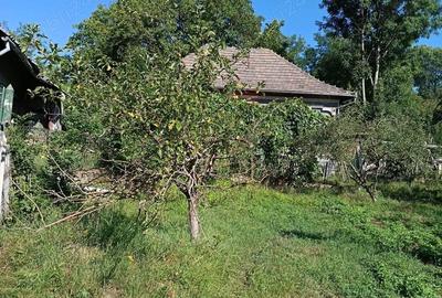 Teren de 800 mp, în Costești - 2