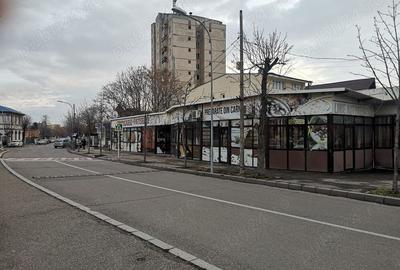 Spațiu comercial, de 273 mp, în Hașdeu - 9