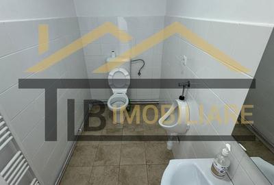 Spatii de inchiriat, 30-100mp, Zona Libertatii - 4