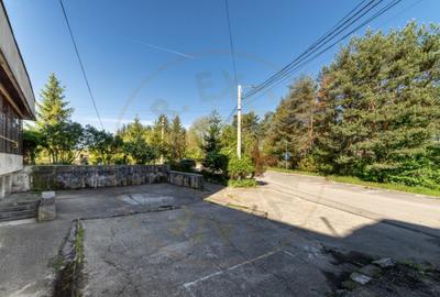 Inchiriere spatiu de depozitare 247 mp, curte 158 mp, Campul - 24