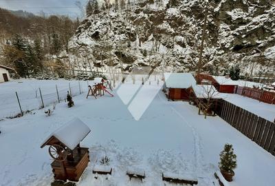 Cabana pe Raul Sadului 120 mp utili Teren 685 mp Zona montana - 3